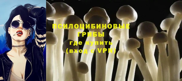 гашик Покачи