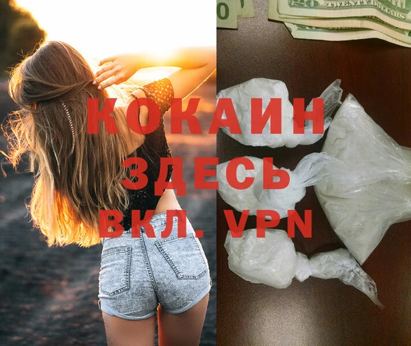 гашик Покачи