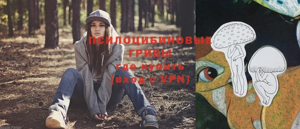 гашик Покачи