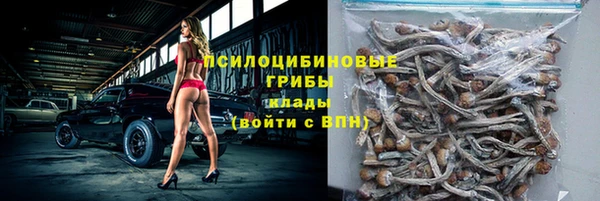 гашик Покачи