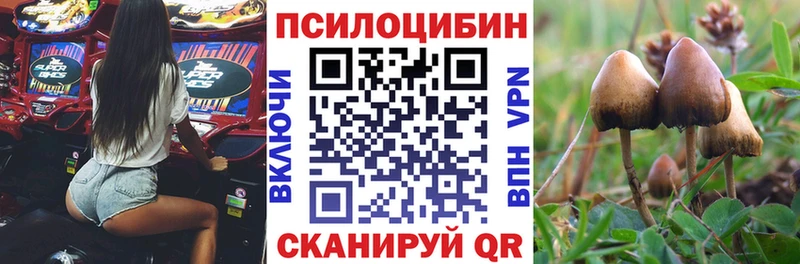 Псилоцибиновые грибы мухоморы  сколько стоит  Сысерть 